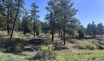 782 Hawks Meadow Dr, Bayfield, CO 81122