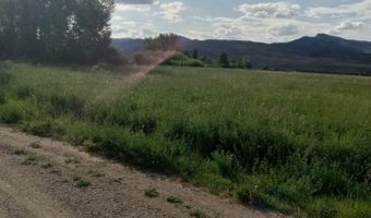 4457 Challis Creek Rd, Challis, ID 83226