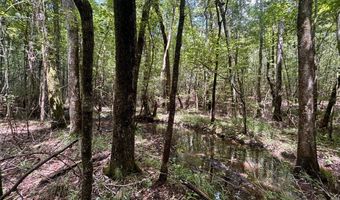 000 Pebble Cove Rd, Abbeville, AL 36310