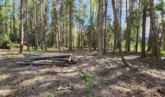 1365 MT Highway 209, Bigfork, MT 59911