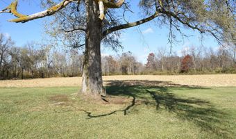 9850 N Reynard Rd, Albany, IN 47320