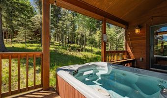 60 Taos Dr, Angel Fire, NM 87710