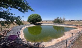 Hc 65 35100 HWY 180A, Concho, AZ 85924