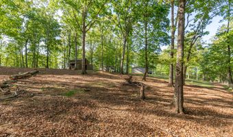 13323 Ellison Trce, Birchwood, TN 37308