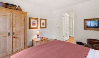 412 Vine St, Aspen, CO 81611