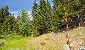 63 Price Loop, Cascade, ID 83611