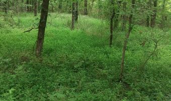 468 Adams Rd, Ardmore, TN 38449
