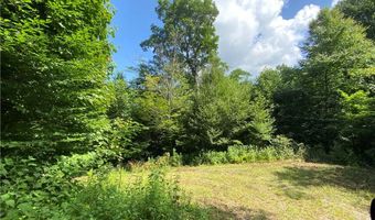 Tract 1 Spring Mountain Trail, Boone, NC 28607