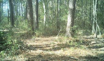 Fox Paw Court, Branchville, SC 29432