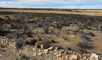 13916 Rancho Manana Loop, Terlingua, TX 79830