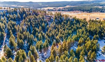 TBD Lot 13 Beaver Creek Ranch Drive, Bayfield, CO 81122