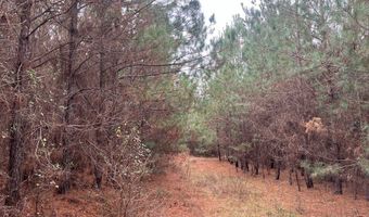 TBD County Road 86, Abbeville, AL 36310