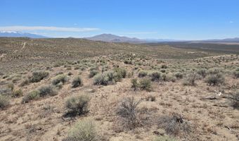 101 Ryndon, Elko, NV 89801