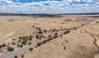 New Mexico 246, Capitan, NM 88316