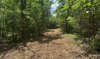 10515 Paw Paw Springs Rd, Arrington, TN 37014