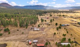 4 County Road 2110, Alpine, AZ 85920