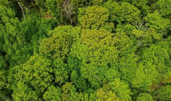 Camp Brook Road lot Map 30 Lot 67A, Alstead, NH 03602