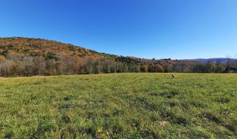 Upper Dingle Hill Road, Andes, NY 13731
