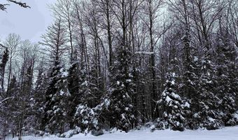 15865 THRASHER Rd, Alvin, WI 54542