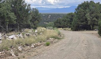 Lobo Ranch Road, Arroyo Hondo, NM 87513