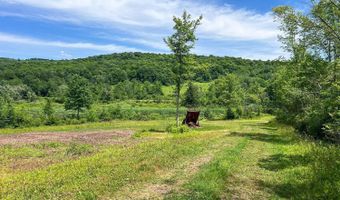 0 Woodland Hills Rd, Andes, NY 13731