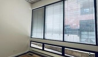 225 N Mill Unit 111/114 111/114, Aspen, CO 81611