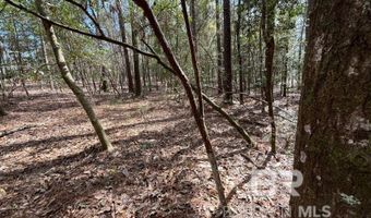 002 Phillipsville Rd, Bay Minette, AL 36507