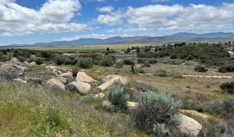 56735 Cain Rd, Anza, CA 92539
