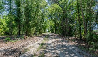 Chad Lake Rd, Alma, GA 31510