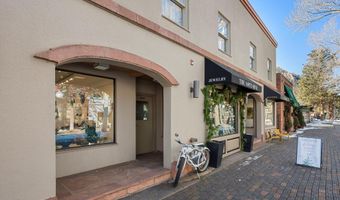 447 E Cooper Ave 1, Aspen, CO 81611