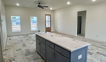 209 Jimmy Ln, Millsap, TX 76066