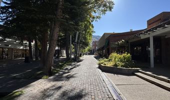 419 E Cooper Ave, Aspen, CO 81611