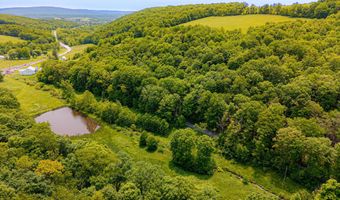 930 Osman Rd, Alum Bank, PA 15521