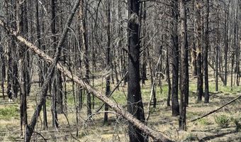 Off Hicks Road Lot 3, Bly, OR 97622