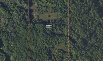 V/L 20AC Monaghan Point Road, Alpena, MI 49707