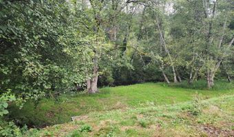 180 Bloedel Blvd, Beaver, WA 98305