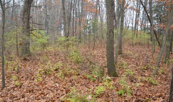 3366 Ludlow Rd, Albion, MI 49224