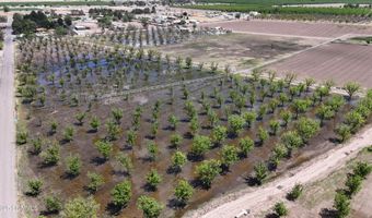 563 Aldaz Rd, Anthony, NM 88021