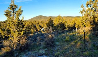 Wayside Circle 13, Beatty, OR 97621