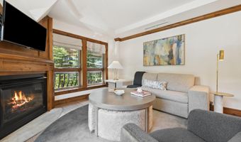 415 E Dean St Unit 44B Week 5, Aspen, CO 81611