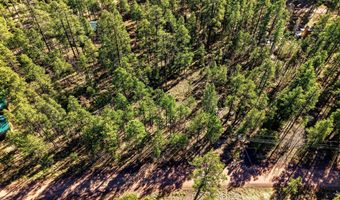 20 Co Rd 2067, Alpine, AZ 85920