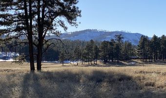 1 A FOREST ROAD 26, Alpine, AZ 85920