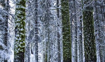 xxxxx Alpine Meadows Road, Alpine Meadows, CA 96146