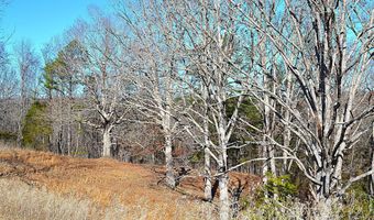 5106 Pine Grove Rd, Ballard, WV 24918