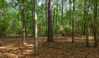 23826 Opine Rd, Andalusia, AL 36421