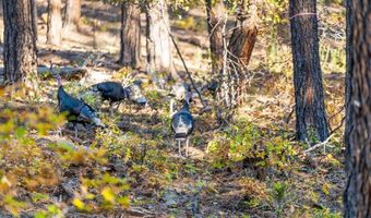 221 Deer Ridge Dr, Bayfield, CO 81122