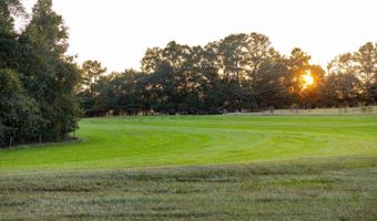 100 Acres Harmony Church Rd, Andalusia, AL 36421