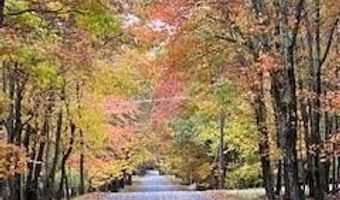 Sassafras Road, Albrightsville, PA 18210