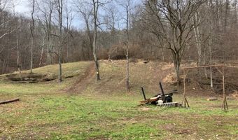 297 Woodburn Run Rd, Alma, WV 26320