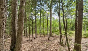 Corno Road and Canaan Street lot All 8 Lots, Canaan, NH 03741